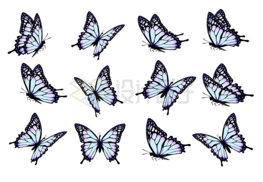 12只淡蓝色的蝴蝶2992741矢量图片免抠素材