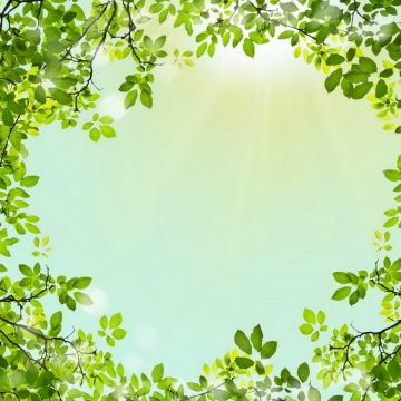 夏天夏日中午阳光照射下的树冠绿色树叶装饰边框2207164免抠图片素材