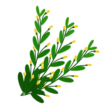  Green branches and small yellow flowers on them png pictures