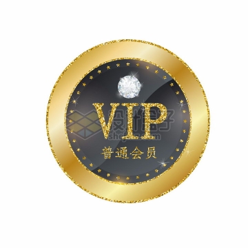 镶钻的VIP普通会员勋章标志png图片免抠矢量素材