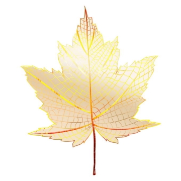 金色的枫叶半透明效果树叶1708364免抠图片素材