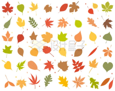 各种秋天里的树叶4534524矢量图片免抠素材