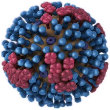 3D流感病毒病原体png图片免抠素材