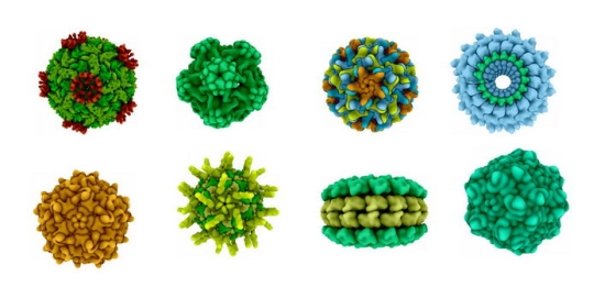 8款流行病3D病毒病原体png图片免抠素材
