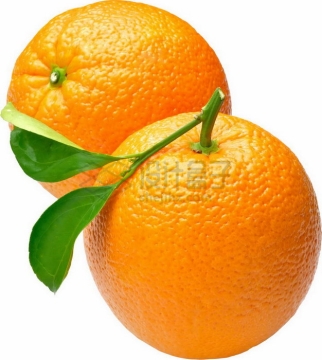两颗完整的橙子赣南脐橙png图片素材