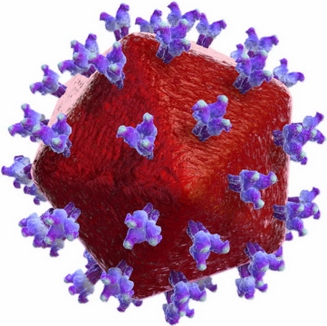 一个红色的3D病毒png图片免抠素材