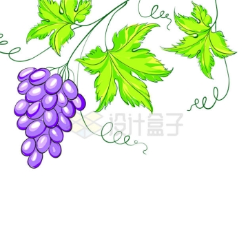插画风格紫色葡萄和叶子2103960矢量图片免抠素材