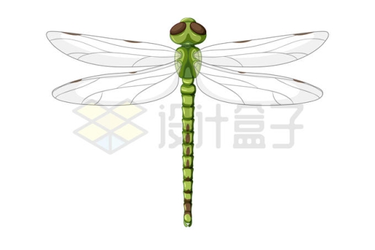 一只蜻蜓昆虫5077263矢量图片免抠素材