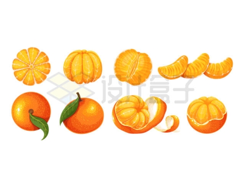 各种剥皮的橘子美味水果6328002矢量图片免抠素材
