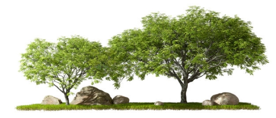  3D rendering of big stones and two big trees on the grass 8362882PSD scratch free image material