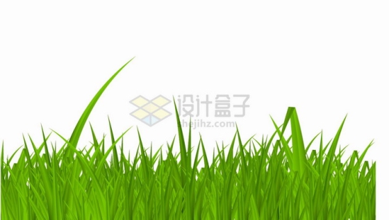 绿油油的青草地草丛装饰png图片免抠矢量素材