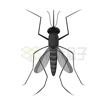 一只黑色的小蚊子害虫4297409矢量图片免抠素材