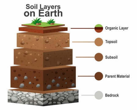 土壤分层结构底土层心土层表土层地理png图片免抠矢量素材