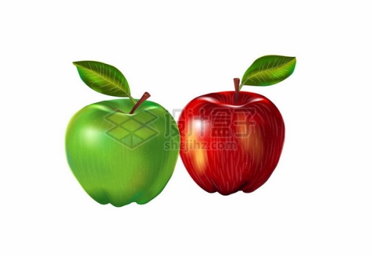 一颗青苹果和红苹果386793png矢量图片素材