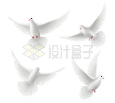 4款飞舞的鸽子白鸽和平鸽8071559矢量图片免抠素材