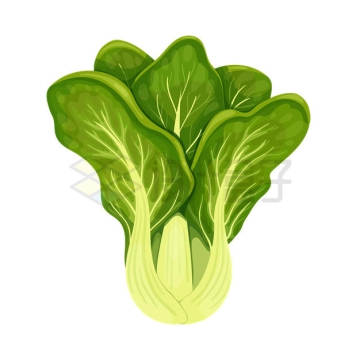 一颗上海青青菜蔬菜2876992矢量图片免抠素材