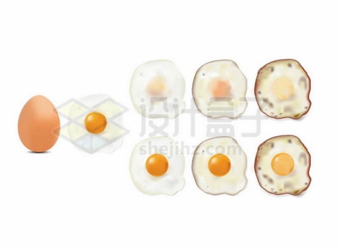 鸡蛋和不同熟度的煎蛋美味美食5303864矢量图片免抠素材