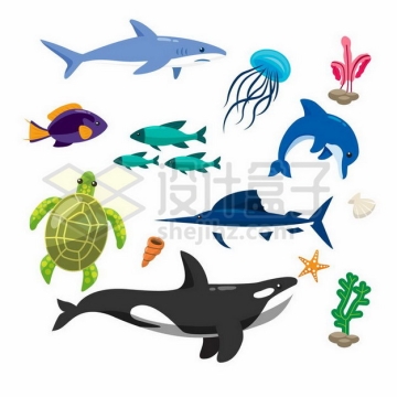 大白鲨水母鱼群海豚海龟虎鲸珊瑚等卡通海洋动物479471png矢量图片素材
