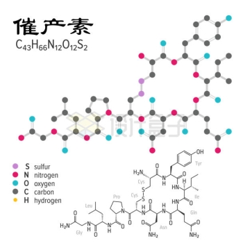 催产素C43H66N12O12S分子结构示意图7957300矢量图片免抠素材