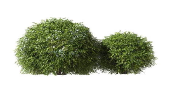  3D rendering of two spherical bushes 7514406PSD cut free picture material