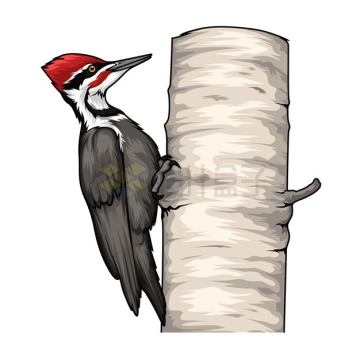 趴在树干上的啄木鸟插画7771271矢量图片免抠素材