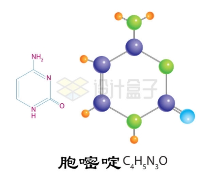 胞嘧啶C4H5N3O的分子模型7316158矢量图片免抠素材