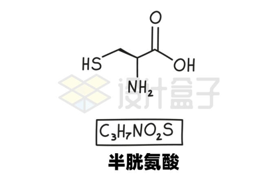 半胱氨酸C3H7NO2S化学方程式和分子结构式手绘风格氨基酸4054232矢量图片免抠素材