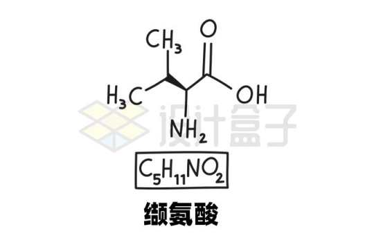 缬氨酸C5H11NO2化学方程式和分子结构式手绘风格氨基酸2593156矢量图片免抠素材