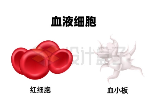 红细胞和血小板等血液细胞3802049矢量图片免抠素材