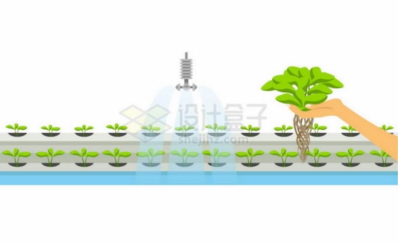 无土栽培技术水培种植蔬菜高科技农业技术插图1779762矢量图片免抠素材