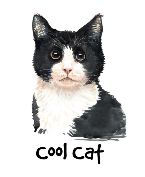 彩色手绘油画风格黑白牛奶猫猫咪图片宠物免抠素材