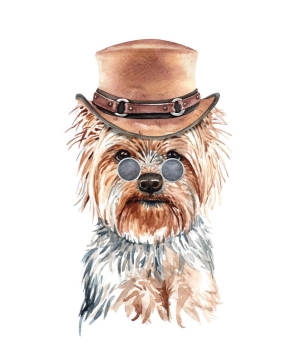 彩色手绘油画风格戴帽子的西施犬宠物狗图片免抠素材