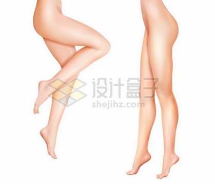 两款美女的大长腿美腿188112png矢量图片素材