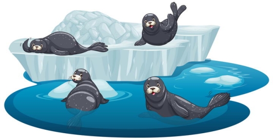 冰山浮冰上的卡通海豹自然景观图片免抠矢量素材