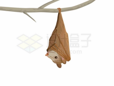 挂在树枝上的蝙蝠3464032免抠图片素材