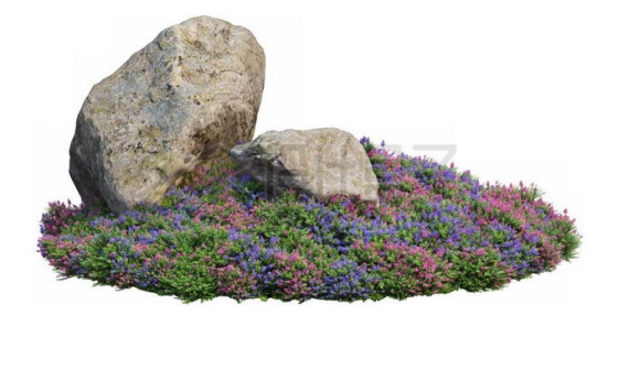 公园花圃里开着的药用牛舌草茂盛植被和中间的两块巨石1306291PSD免抠图片素材