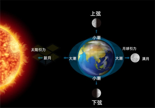 太阳和月球引力对地球潮汐的影响示意图6992849矢量图片免抠素材