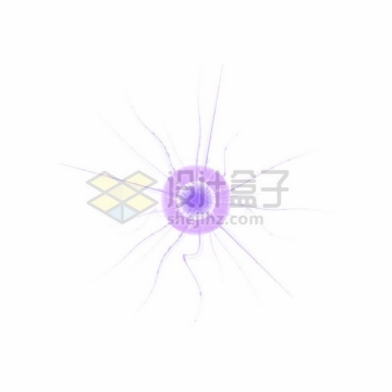 紫色带鞭毛的3D立体细菌病毒826564png图片素材