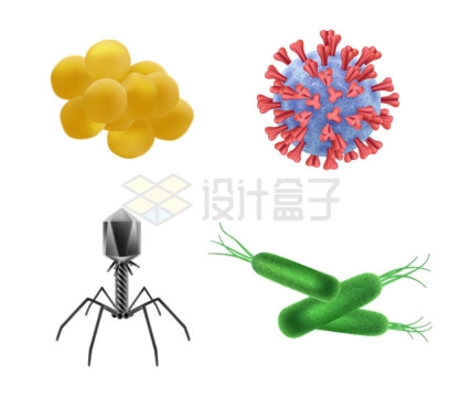 4款链球菌病毒噬菌体大肠杆菌等细菌2885579矢量图片免抠素材