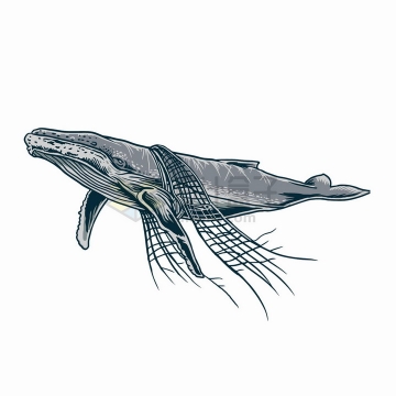 鲸鱼身上挂着渔网海洋垃圾污染保护环境png图片免抠矢量素材