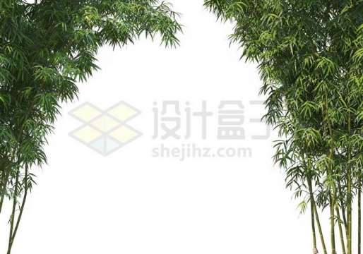 两侧的竹子竹林绿色植物装饰7326599PSD免抠图片素材