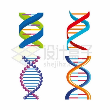 4款彩色的DNA双螺旋结构图案形状9861938矢量图片免抠素材