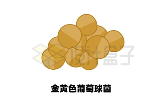 扁平化风格金黄色葡萄球菌1863813矢量图片免抠素材