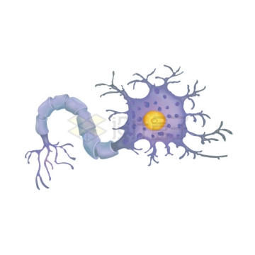 淡紫色的人体神经元细胞结构7622336矢量图片免抠素材